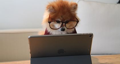 I've been maintaining a massive Vue.js codebase for the last 3 years. Here are 9 lessons I've learned along the way.
