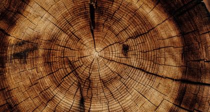 git worktree allows you to attach a branch to a specific folder. It's like doing a clone of a repository that shares the same git folder.