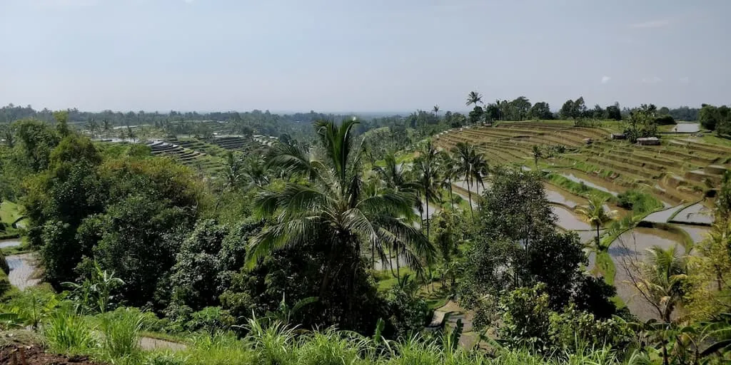 Jatiluwih Rice Terraces