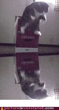 loop