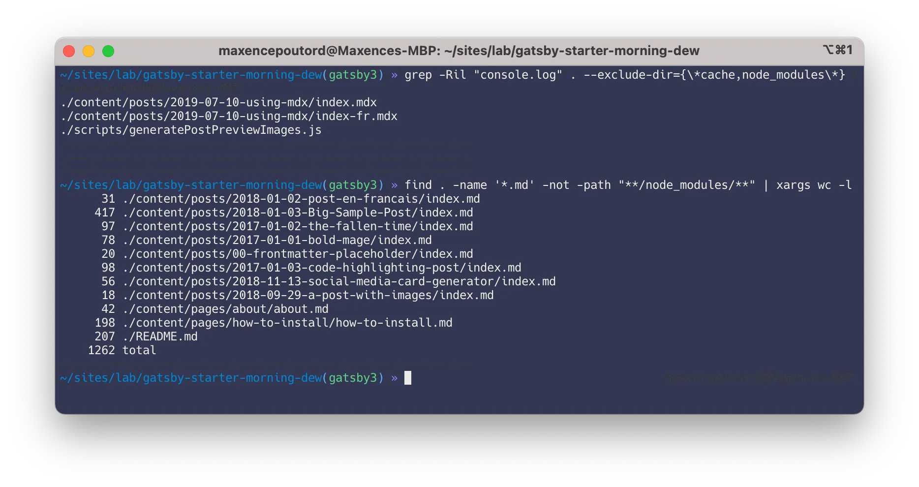 How my terminal looks like