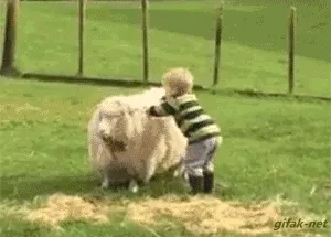 a kid on a ship