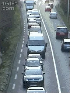funny snail gif